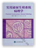 实用泌尿生殖系统病理学