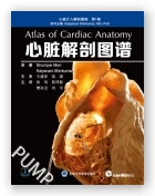 心脏解剖图谱