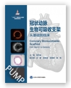 冠状动脉生物可吸收支架从基础到临床（国家出版基金项目二十五）