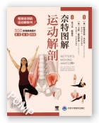 奈特图解运动解剖